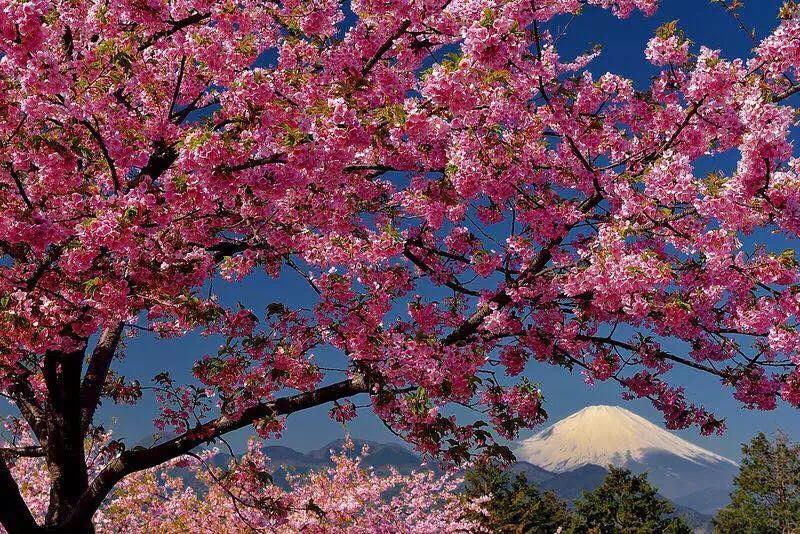 Hakone Pacific Hotel ภายนอก รูปภาพ