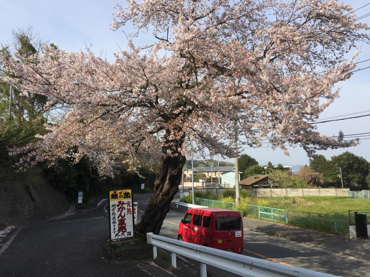 Hakone Pacific Hotel ภายนอก รูปภาพ