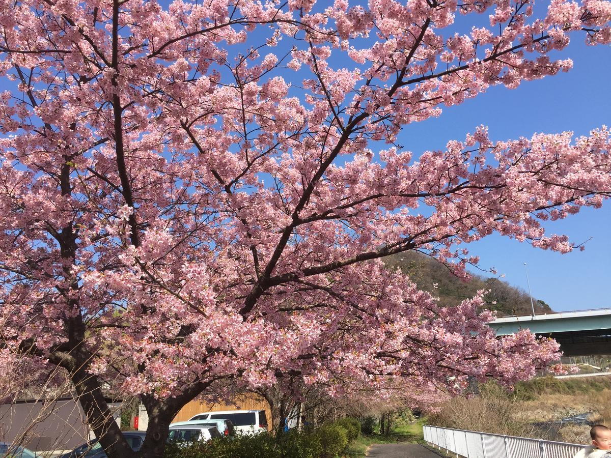 Hakone Pacific Hotel ภายนอก รูปภาพ