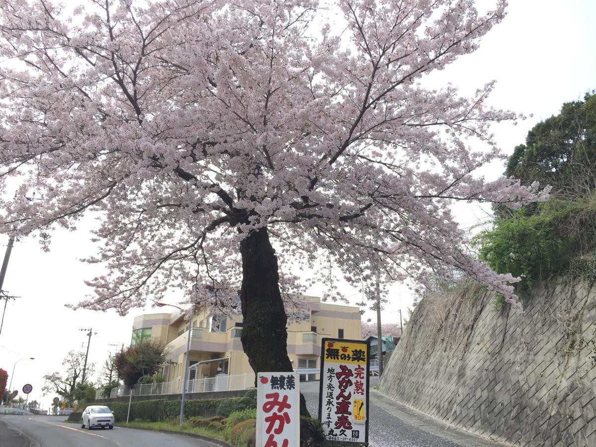 Hakone Pacific Hotel ภายนอก รูปภาพ